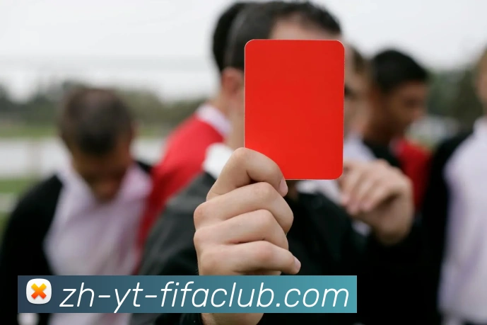 世界杯直播平台生态图